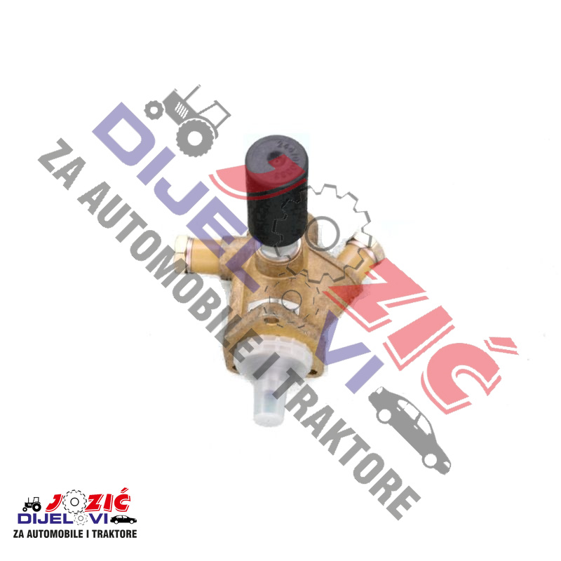 Daisy on the Ohoopee